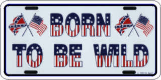 LPS 528 BOORN TO BE WILD