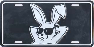 LPS 531 COOL BUNNY