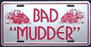 LPS 332 BAD MUDDER