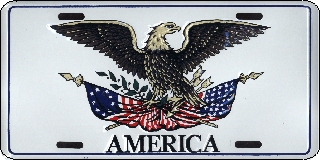LPS 522 AMERICAN EAGLE